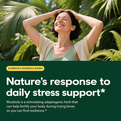 Rhodiola Rosea Capsules